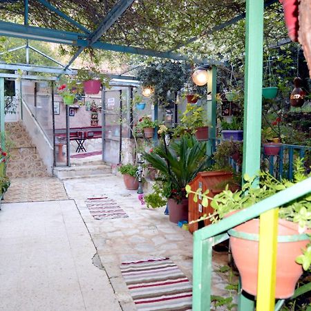 بيت الطبيعة Nature House Jarash Bagian luar foto