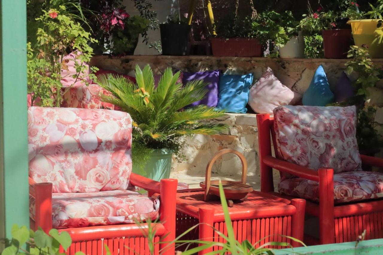 بيت الطبيعة Nature House Jarash Bagian luar foto