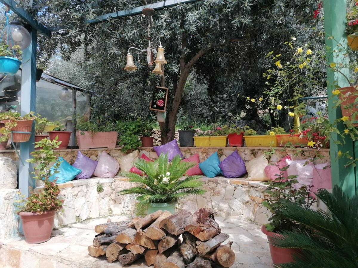 بيت الطبيعة Nature House Jarash Bagian luar foto